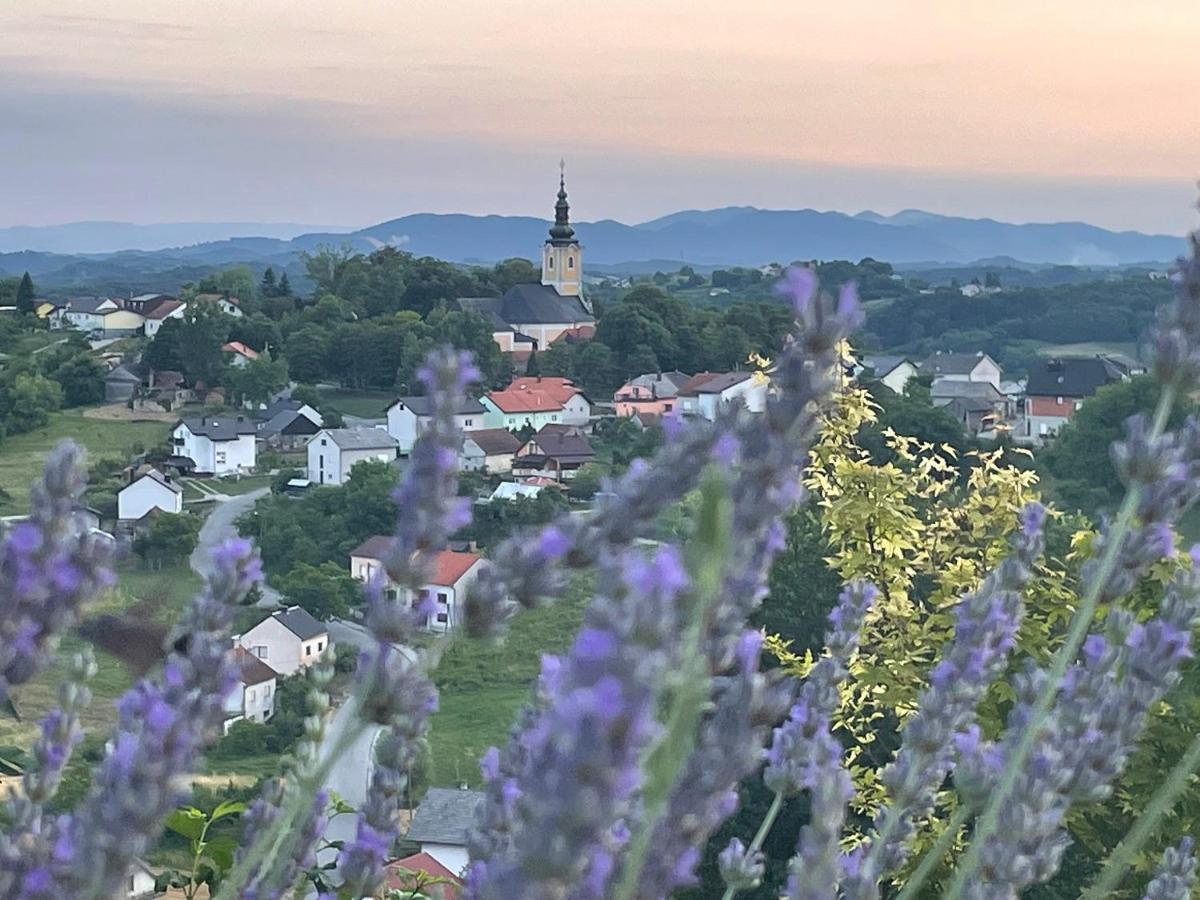 Kuca Za Odmor Hiza I Vila Krapina Ngoại thất bức ảnh