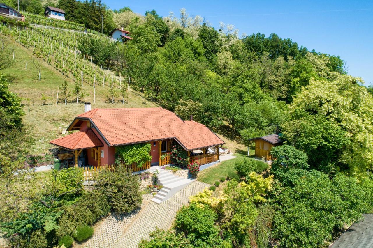Kuca Za Odmor Hiza I Vila Krapina Ngoại thất bức ảnh